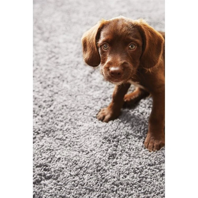 Hug Rug My Rug Ghost Grey 80cm X 120cm 4 Hug Rug My Rug Ghost Grey 80cm X 120cm - Image 2